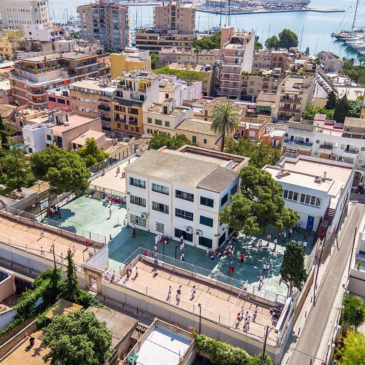 historia la immaculada de palma